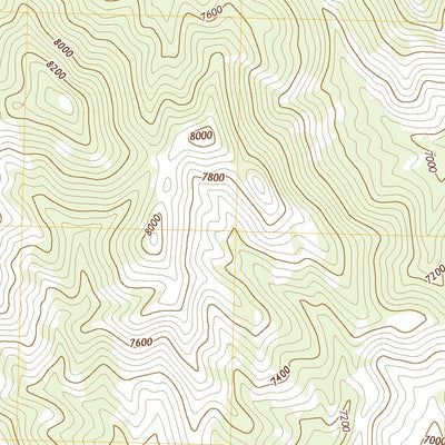 United States Geological Survey Cattle Camp Spring, NV (2021, 24000-Scale) digital map