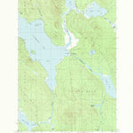 United States Geological Survey Caucomgomoc Lake East, ME (1989, 24000-Scale) digital map