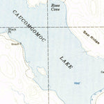 United States Geological Survey Caucomgomoc Lake, ME (1954, 62500-Scale) digital map