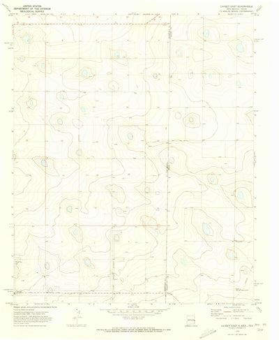 United States Geological Survey Causey East, NM-TX (1970, 24000-Scale) digital map
