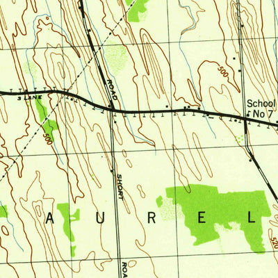 United States Geological Survey Cayuga, NY (1943, 31680-Scale) digital map