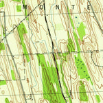 United States Geological Survey Cayuga, NY (1943, 31680-Scale) digital map