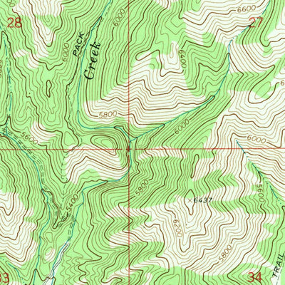 United States Geological Survey Cayuse Point, ID (1964, 24000-Scale) digital map