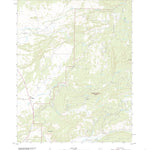 United States Geological Survey Cebolla, NM (2020, 24000-Scale) digital map