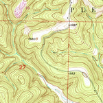 United States Geological Survey Cedar Gap, MO (1951, 24000-Scale) digital map
