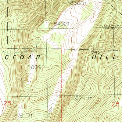 United States Geological Survey Cedar Hill, CA-NV (1989, 24000-Scale) digital map