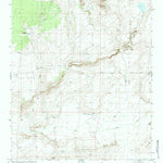 United States Geological Survey Cedar Lake Wash, AZ (1979, 24000-Scale) digital map