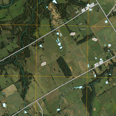 United States Geological Survey Cedar Springs, TX (2010, 24000-Scale) digital map