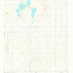 United States Geological Survey Cedarvale NE, NM (1981, 24000-Scale) digital map