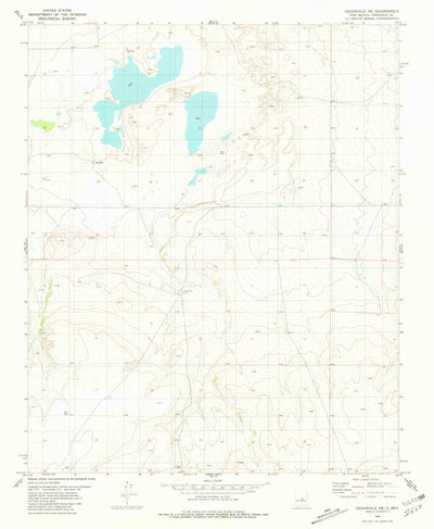 United States Geological Survey Cedarvale NE, NM (1981, 24000-Scale) digital map
