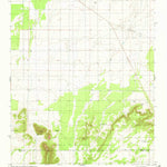 United States Geological Survey Cedarvale, NM (1981, 24000-Scale) digital map