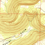 United States Geological Survey Center Grove, AL (1950, 24000-Scale) digital map