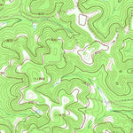United States Geological Survey Center Point, TX (1964, 24000-Scale) digital map