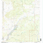 United States Geological Survey Centerfire Bog, NM (1999, 24000-Scale) digital map