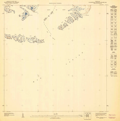 United States Geological Survey Central Aguirre SW, PR (1947, 10000-Scale) digital map