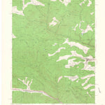United States Geological Survey Central City, CO (1942, 24000-Scale) digital map