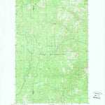 United States Geological Survey Central Peak, WA (1989, 24000-Scale) digital map