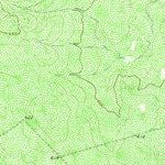 United States Geological Survey Cerritos Blancos, TX (1965, 24000-Scale) digital map