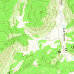 United States Geological Survey Cerro Negro, NM (1966, 24000-Scale) digital map