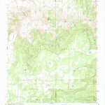 United States Geological Survey Cerro Parido, NM (1961, 24000-Scale) digital map