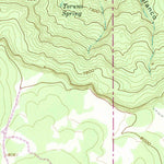 United States Geological Survey Cerro Parido, NM (1961, 24000-Scale) digital map