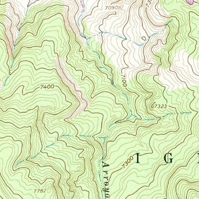 United States Geological Survey Cerro Parido, NM (1961, 24000-Scale) digital map