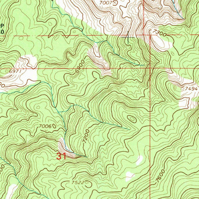 United States Geological Survey Cerro Parido, NM (1995, 24000-Scale) digital map