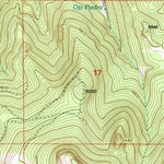 United States Geological Survey Cerro Pelon, NM (1995, 24000-Scale) digital map