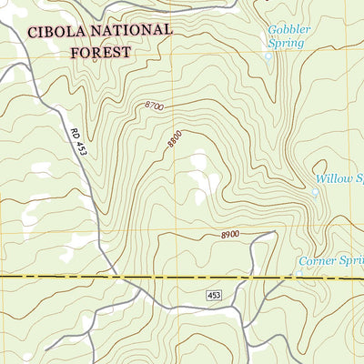 United States Geological Survey Cerro Pelon, NM (2020, 24000-Scale) digital map