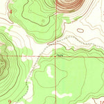 United States Geological Survey Cerro Pomo, NM (1967, 24000-Scale) digital map