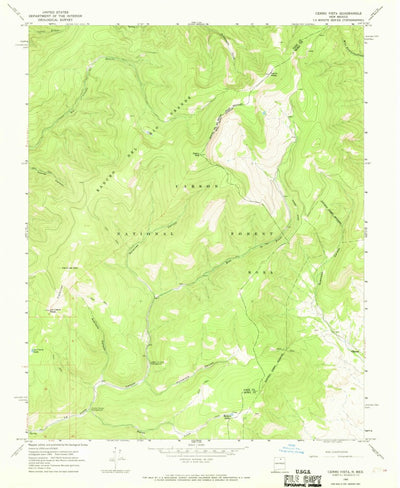 United States Geological Survey Cerro Vista, NM (1965, 24000-Scale) digital map