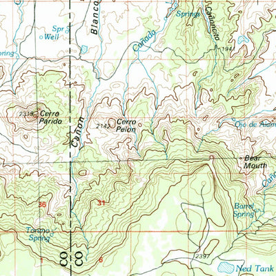 United States Geological Survey Chaco Mesa, NM (1977, 100000-Scale) digital map