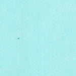 United States Geological Survey Chancy Bay, FL (1953, 24000-Scale) digital map