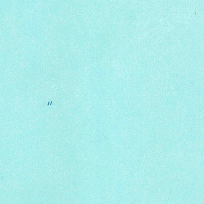 United States Geological Survey Chancy Bay, FL (1953, 24000-Scale) digital map