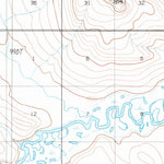 United States Geological Survey Chandler Lake D-5, AK (1987, 63360-Scale) digital map