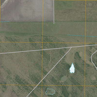 United States Geological Survey Chapman Ranch, TX (2010, 24000-Scale) digital map