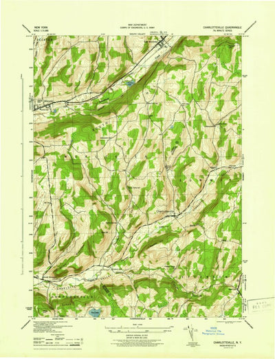 United States Geological Survey Charlotteville, NY (1945, 31680-Scale) digital map
