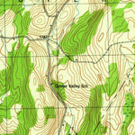 United States Geological Survey Charlotteville, NY (1945, 31680-Scale) digital map