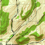 United States Geological Survey Charlotteville, NY (1945, 31680-Scale) digital map