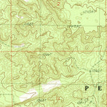 United States Geological Survey Chase, MI (1987, 24000-Scale) digital map