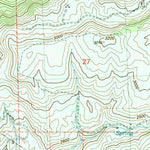 United States Geological Survey Chelan Falls, WA (2004, 24000-Scale) digital map