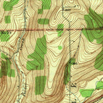 United States Geological Survey Chenango Forks, NY (1942, 31680-Scale) digital map