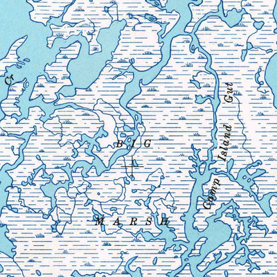 United States Geological Survey Chesconessex, VA (1942, 24000-Scale) digital map