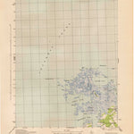 United States Geological Survey Chesconessex, VA (1942, 31680-Scale) digital map