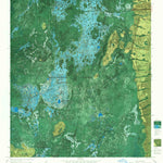 United States Geological Survey Chesser Island, GA (1965, 24000-Scale) digital map