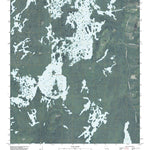 United States Geological Survey Chesser Island, GA (2011, 24000-Scale) digital map