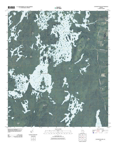United States Geological Survey Chesser Island, GA (2011, 24000-Scale) digital map