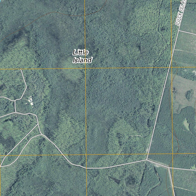 United States Geological Survey Chesser Island, GA (2011, 24000-Scale) digital map
