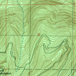 United States Geological Survey Chester Morse Lake, WA (1989, 24000-Scale) digital map