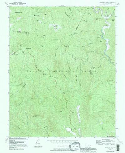 United States Geological Survey Chestnut Mountain, NC (1993, 24000-Scale) digital map